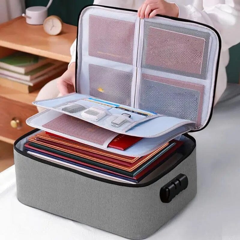 Document organizer bag with compartments - 50% off